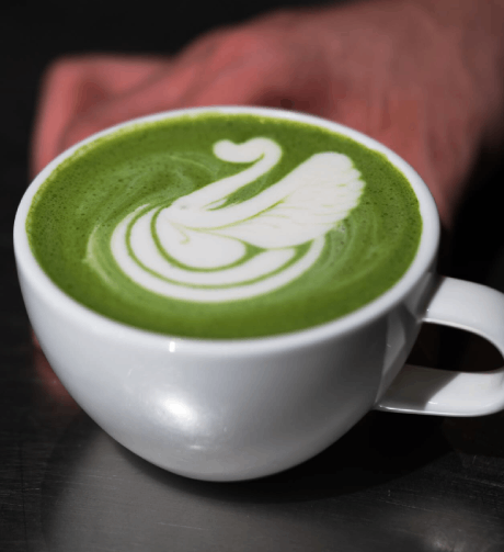 Hot Matcha